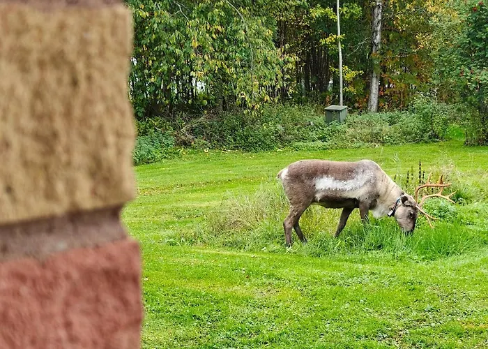 Aurora Ounas - Jacuzzi & Sauna, Next To Center * רובניימי